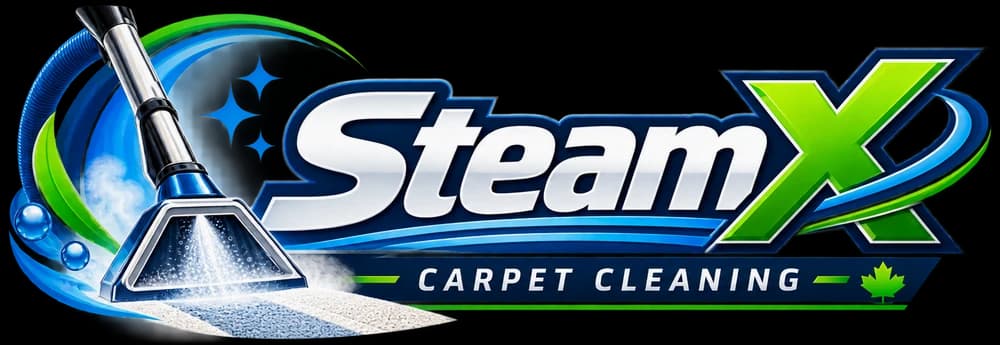 SteamX Carpet Cleaning